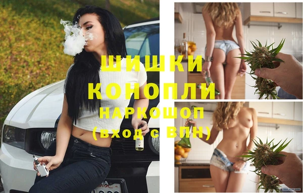 мдпв Дмитров