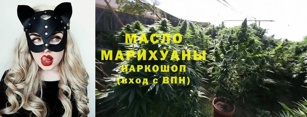 мдпв Дмитров