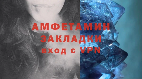 мдпв Дмитров