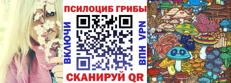 Купить закладки  Сочи  Псилоцибиновые грибы мухоморы 